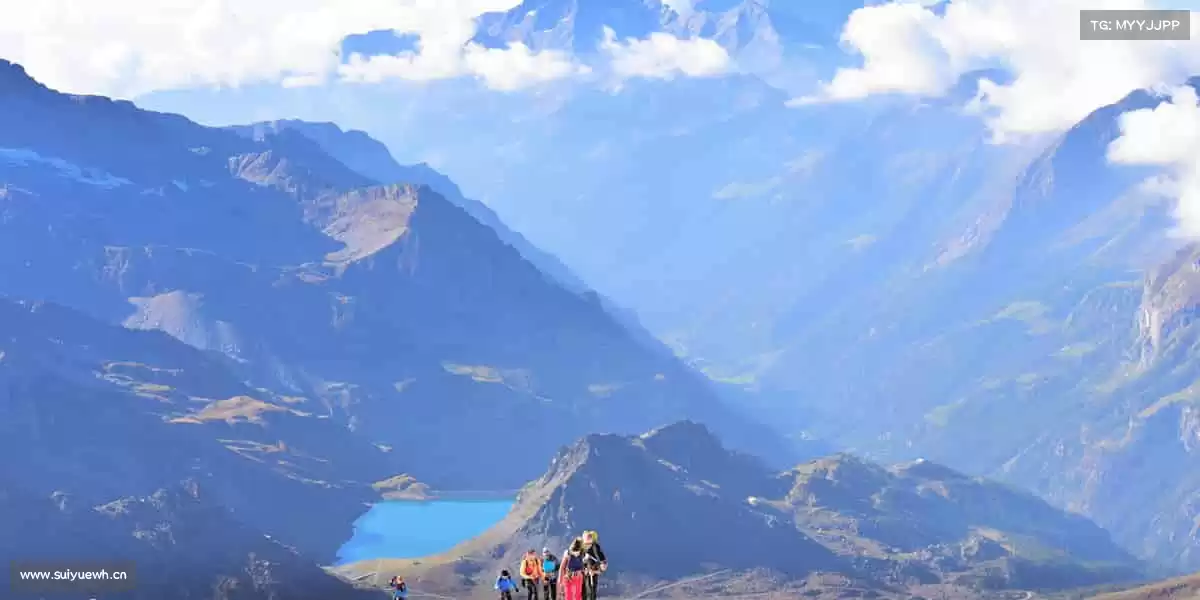 我们的品牌价值